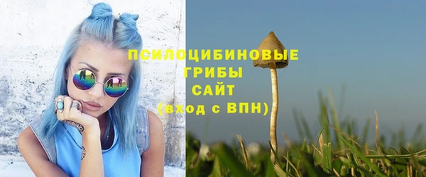 не бодяженный Осташков