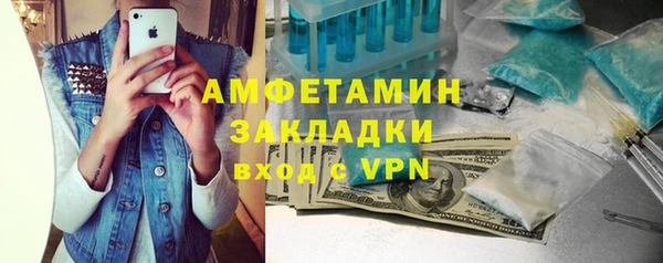 прущие грибы Краснослободск