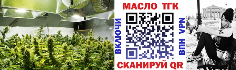 наркошоп  Омутнинск  ТГК концентрат 