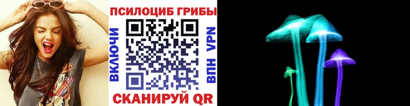 Псилоцибиновые грибы Cubensis  Омутнинск 